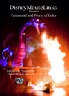 DisneyMouseLinks Presents - Fantasmic! And World of Color [DVD]